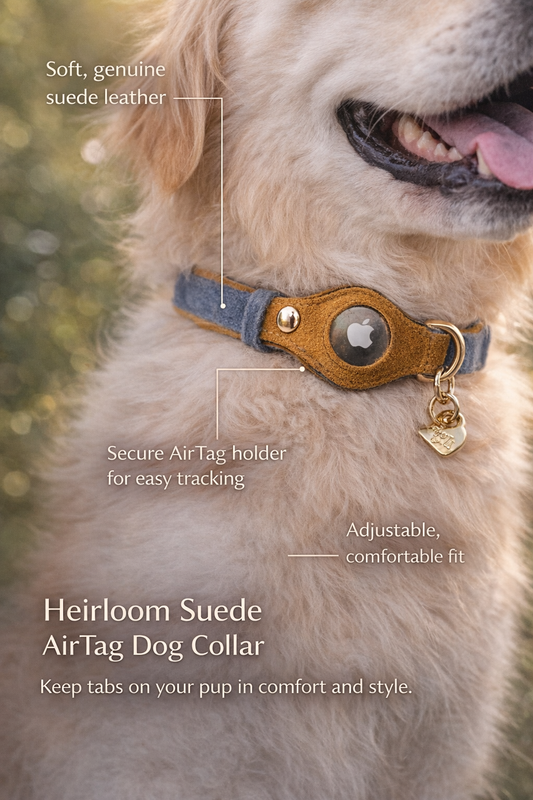 Heirloom Suede AirTag Dog Collar — Denim & Tan