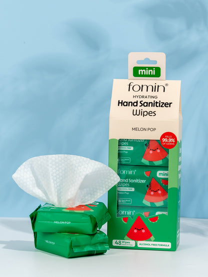 Travel Size Wipes | Alcohol-Free | Hand Sanitizer Wipes