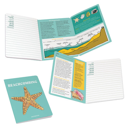 Beachcombing Notebook
