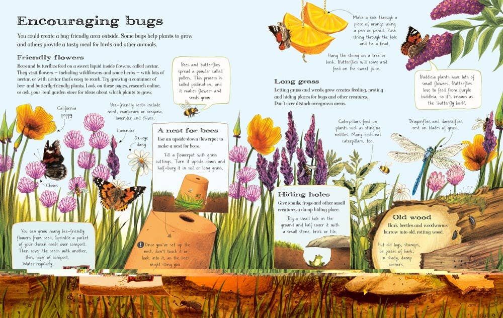 Outdoor Book : Emily Bone
