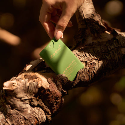 Refillable Hinoki Cedar Hand Sanitizer | Christmas Edition