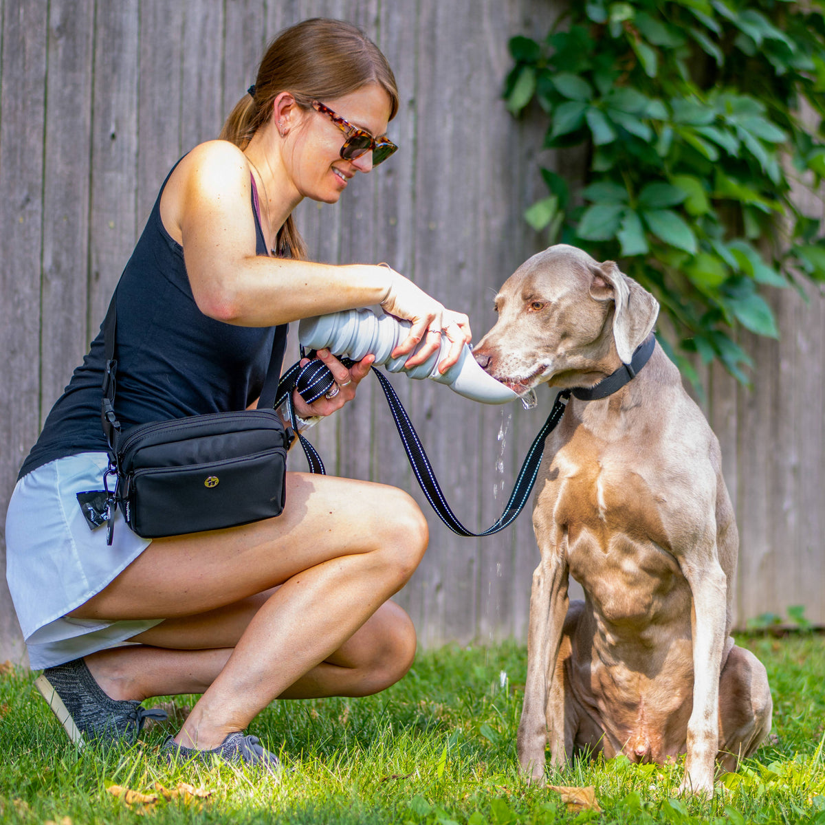 Water Bottles for Dogs - Leakproof, Compact, BPA free