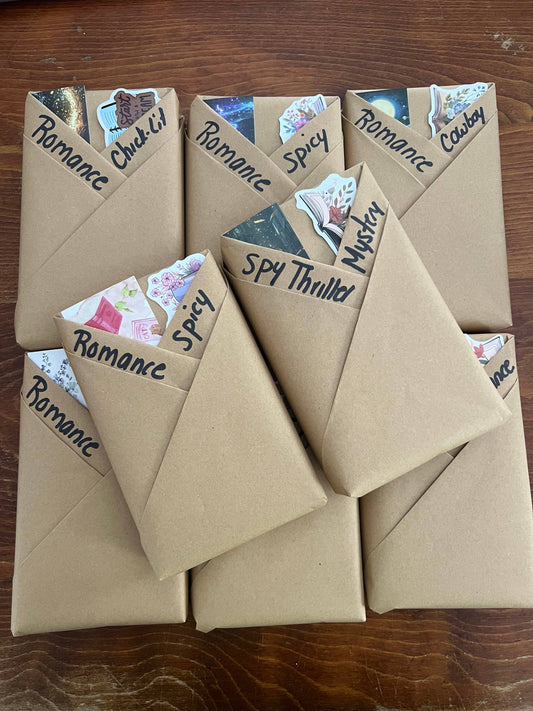 BLIND DATE WITH A BOOK (USED) Books, Book Gifts