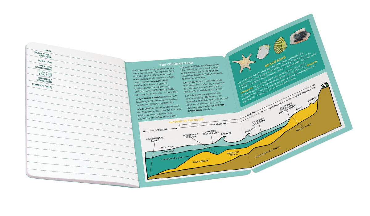 Beachcombing Notebook
