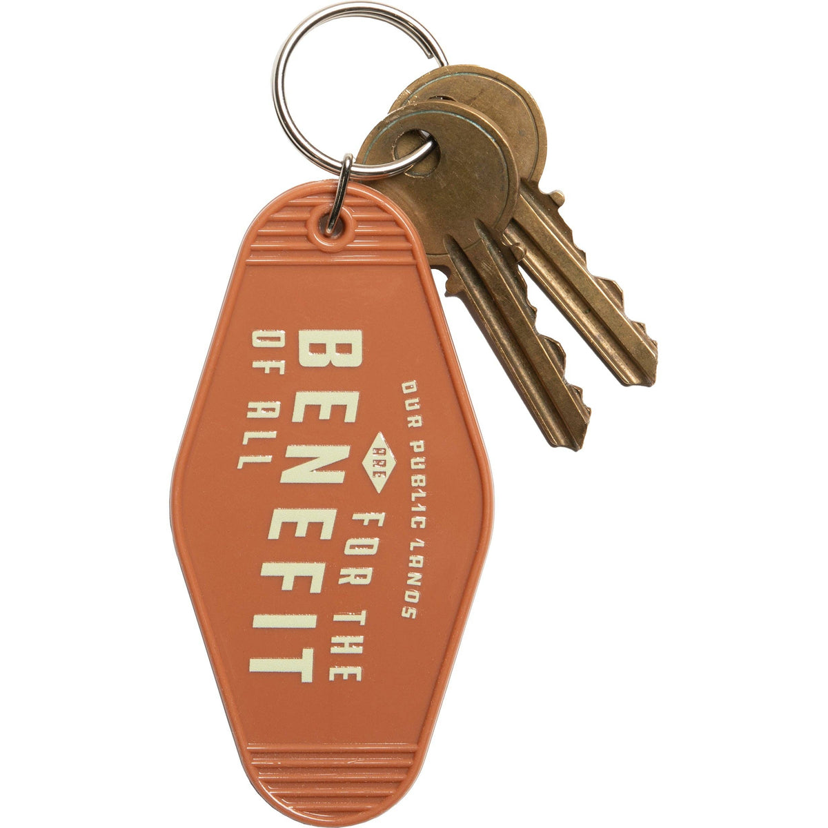 Public Lands for All Keychain