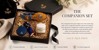The Companion Set