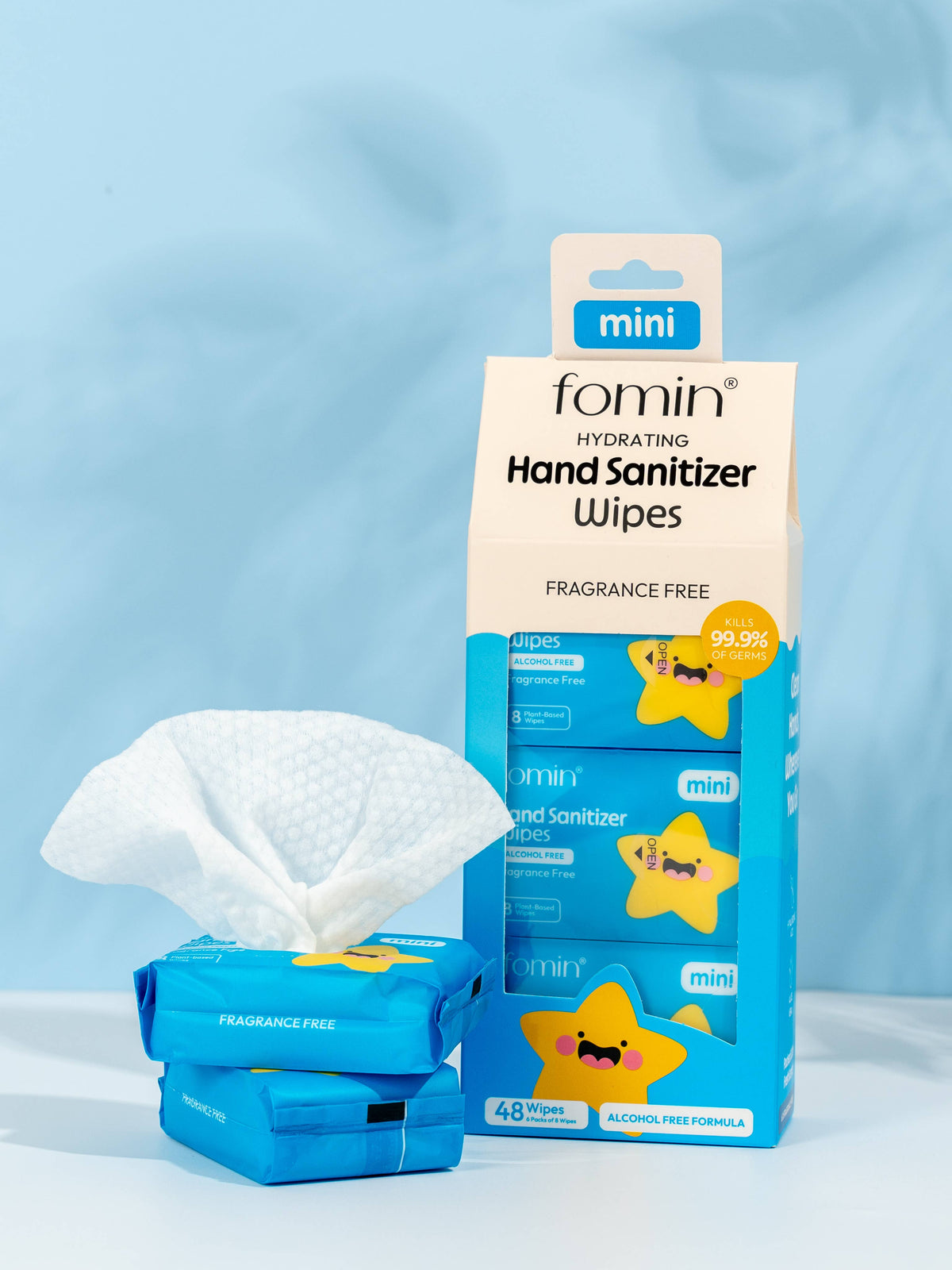 Travel Size Wipes | Alcohol-Free | Hand Sanitizer Wipes