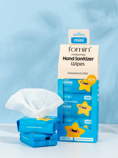 Travel Size Wipes | Alcohol-Free | Hand Sanitizer Wipes