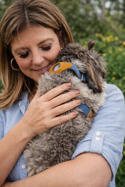 Heirloom Suede AirTag Dog Collar — Denim & Tan