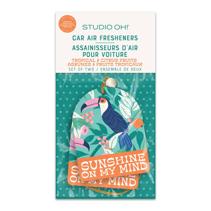 Sunshine on My Mind Car Air Freshener