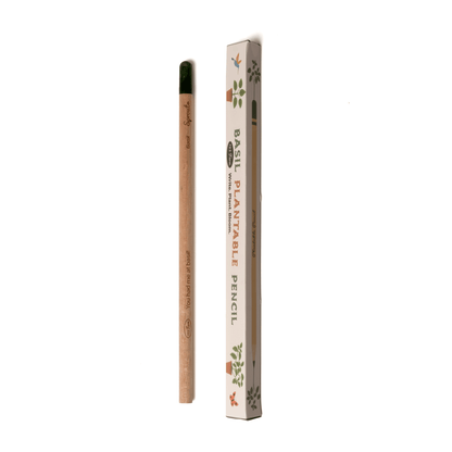 Basil Plantable Pencil – Eco-Friendly
