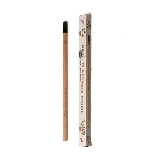 Basil Plantable Pencil – Eco-Friendly