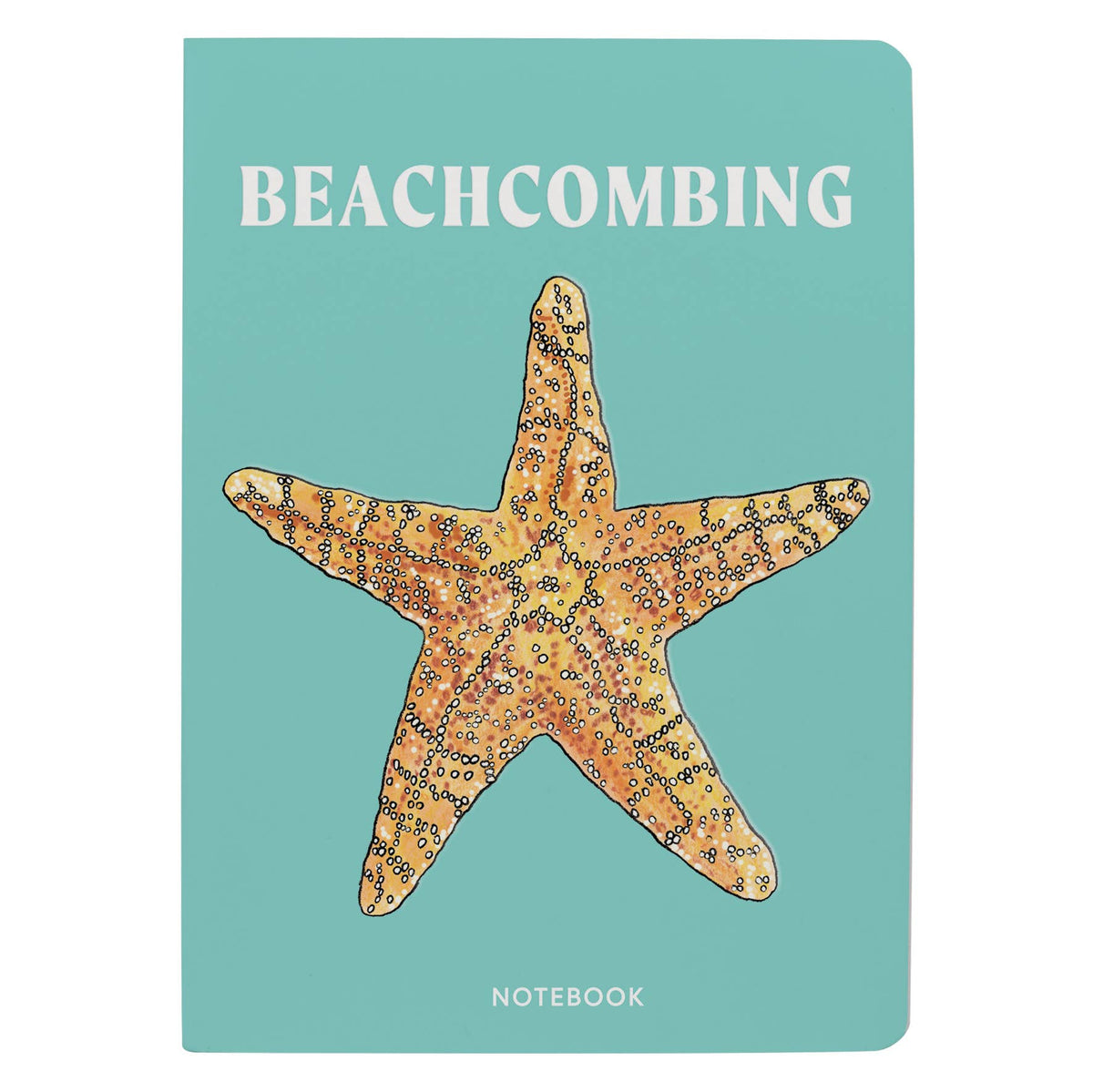 Beachcombing Notebook