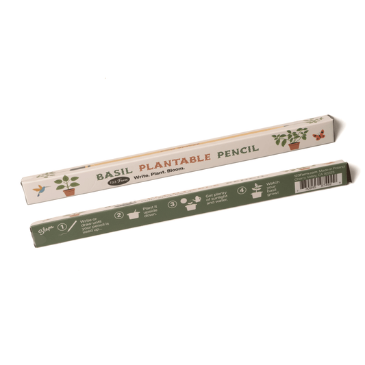 Basil Plantable Pencil – Eco-Friendly